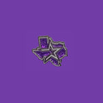 Houston Astros Logo 🎆 (Purple)