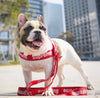 SUP DOG HARNESS (RED)